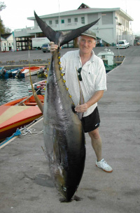 220lb tuna record with Tony Seymour at fishmarket dock