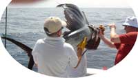 Gary and Goran hold up his sailfish