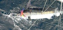 the ultimate fish - a Grenada blue marlin caught on Yes aye