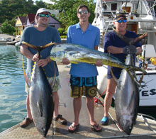 2 yellowfin tuna and a dorado on yes aye grenada