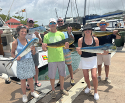 mahi mahi