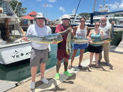 dolphin catch