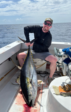 yellowfin tuna 23 march