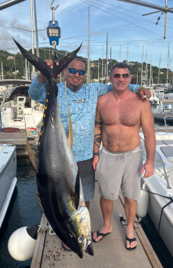 yellowfin